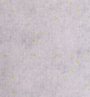 Sample closeup of printer dots.